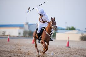 واقي أرجل للخيل