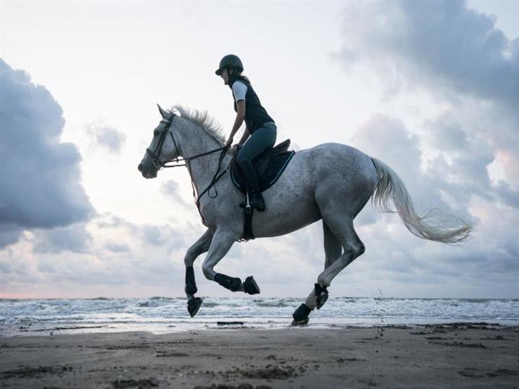 رحلات ركوب الخيل